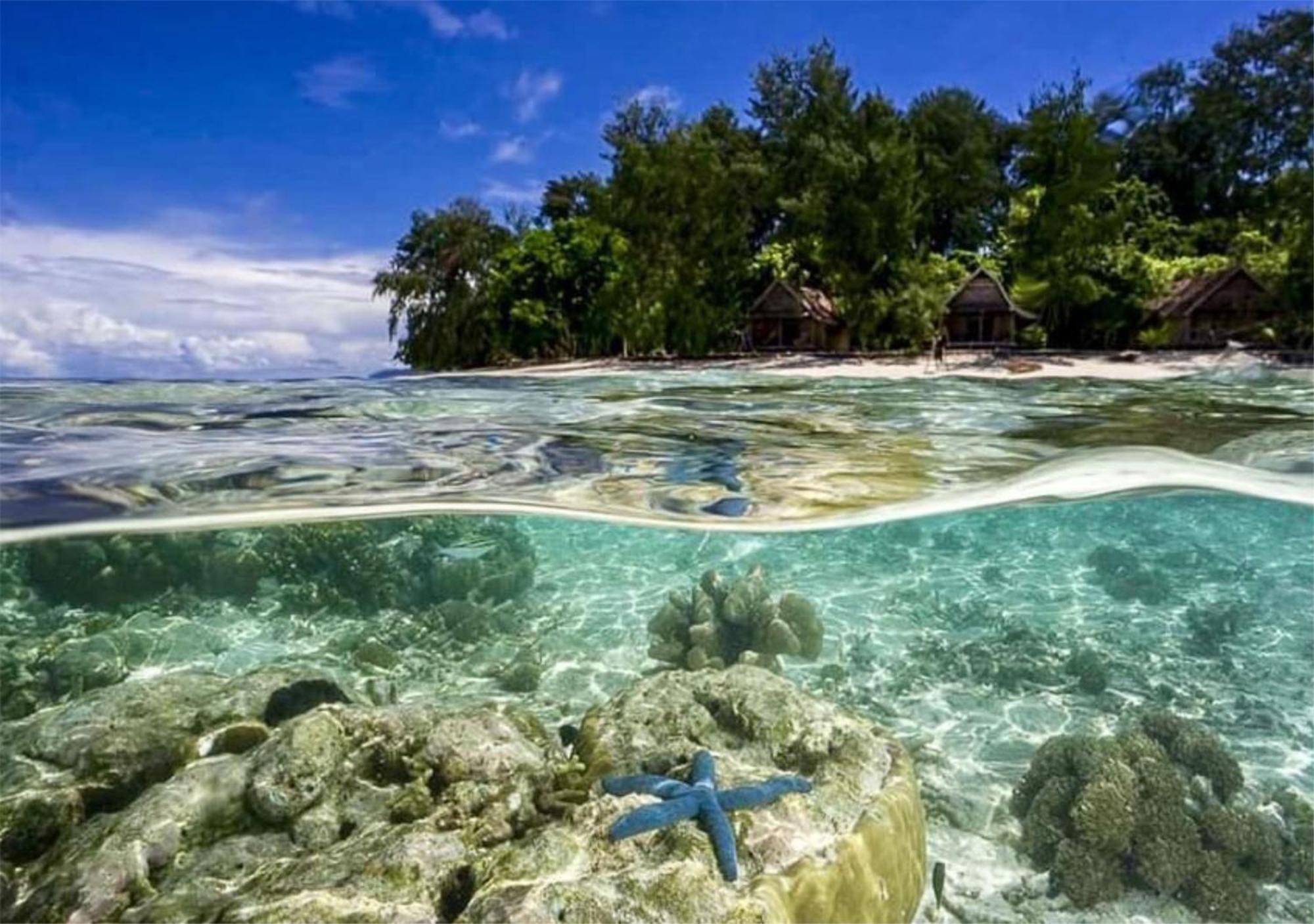 Wai Resort - Raja Ampat Pulau Birie Dış mekan fotoğraf