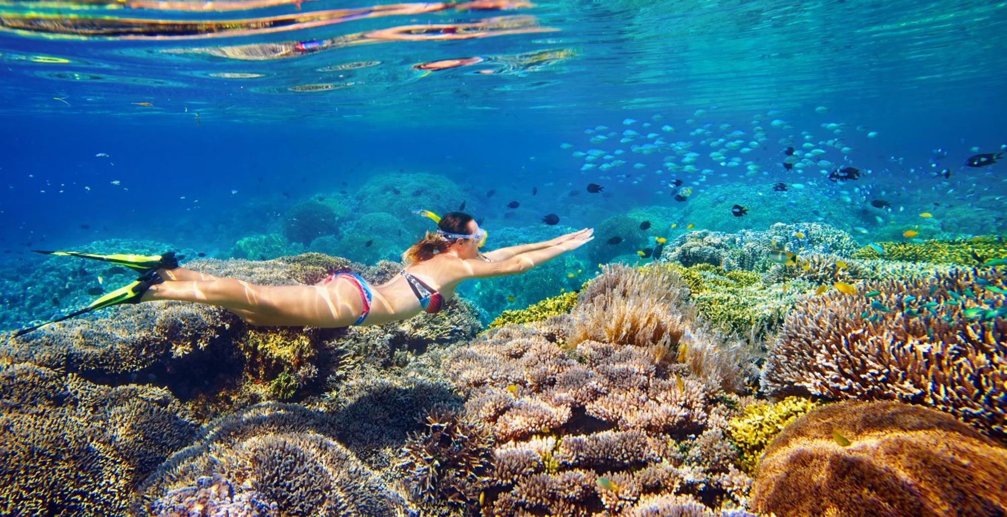Wai Resort - Raja Ampat Pulau Birie Dış mekan fotoğraf